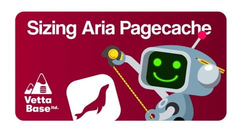 Finding an optimal size for Aria Pagecache