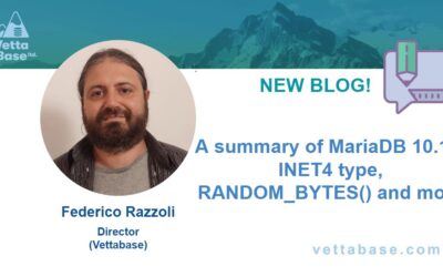 A summary of MariaDB 10.10: INET4 type, RANDOM_BYTES() and more