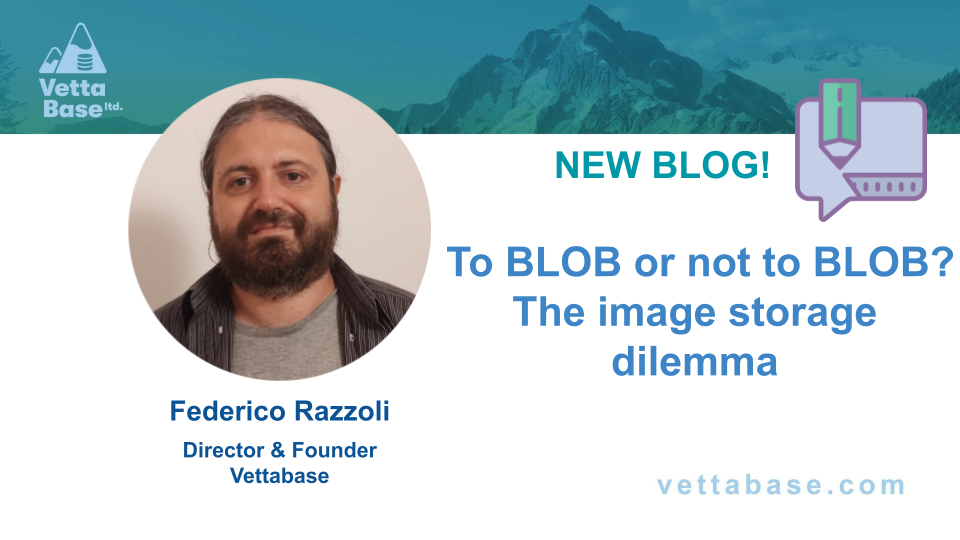 To BLOB or not to BLOB? The image storage dilemma